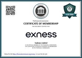 Understanding the Role of IB Broker Exness in Forex Trading 20